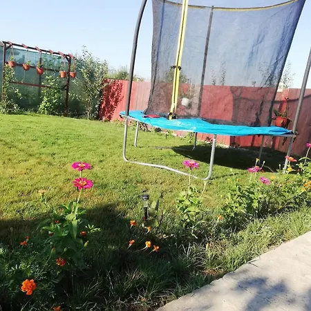 Case de vacanță Adda Body *